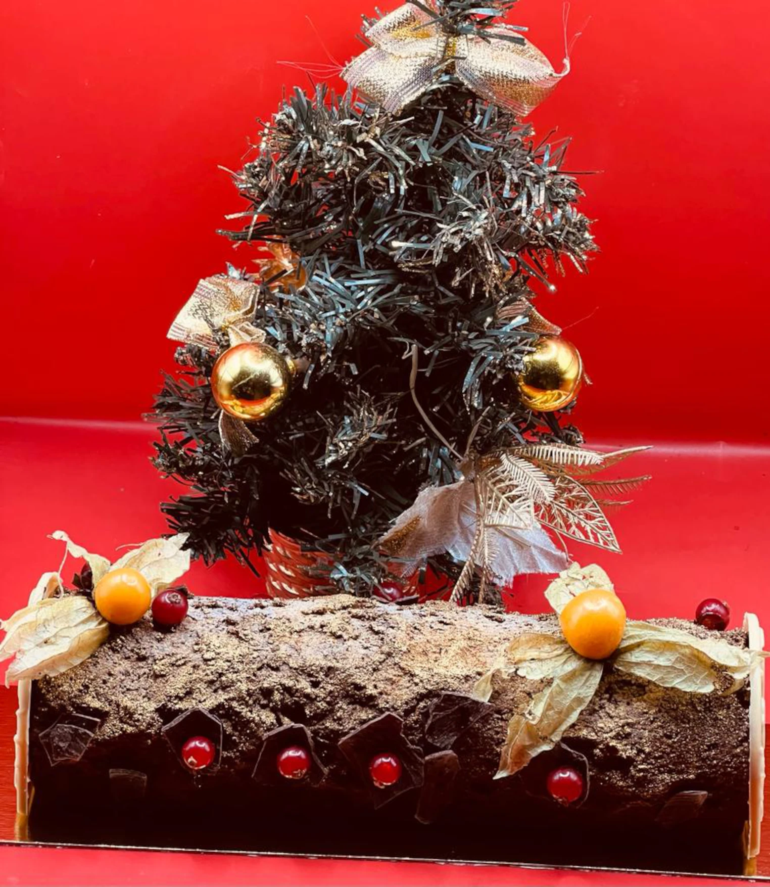 Bûche de Noël spezial